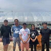 画像353