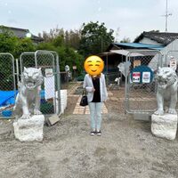 画像364