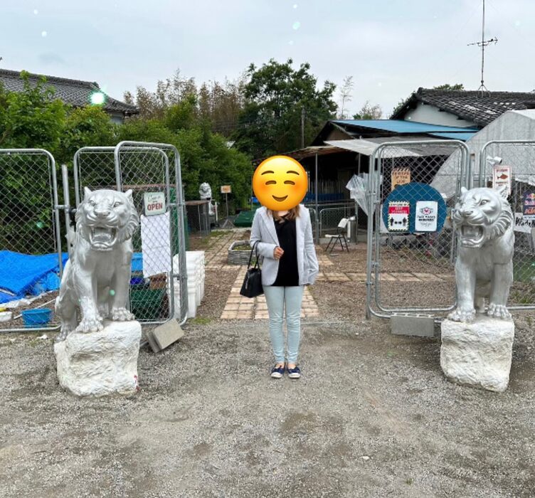画像364