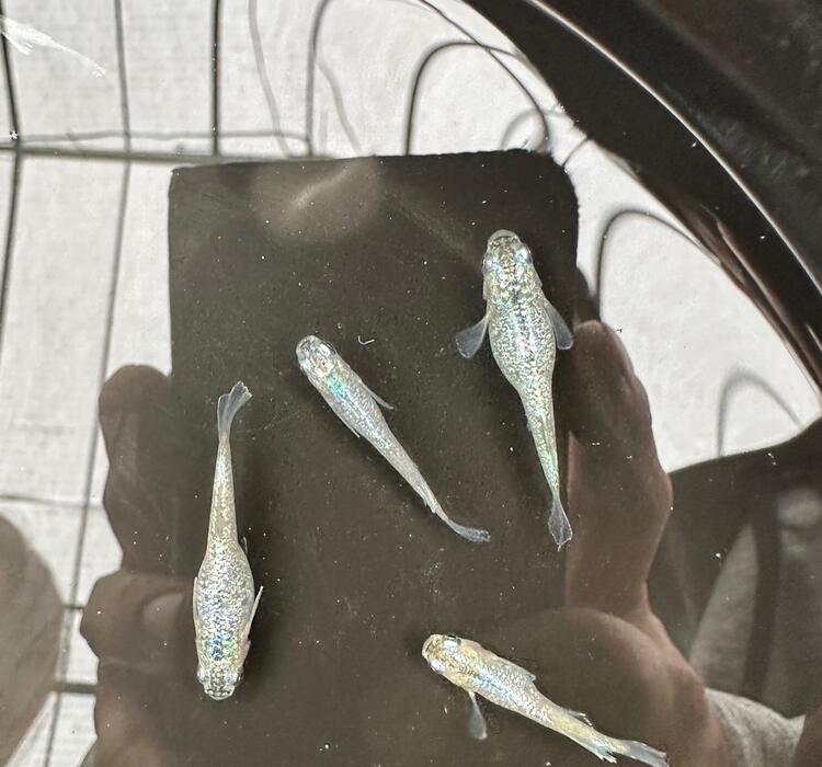 画像367