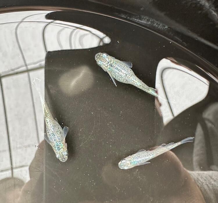 画像368