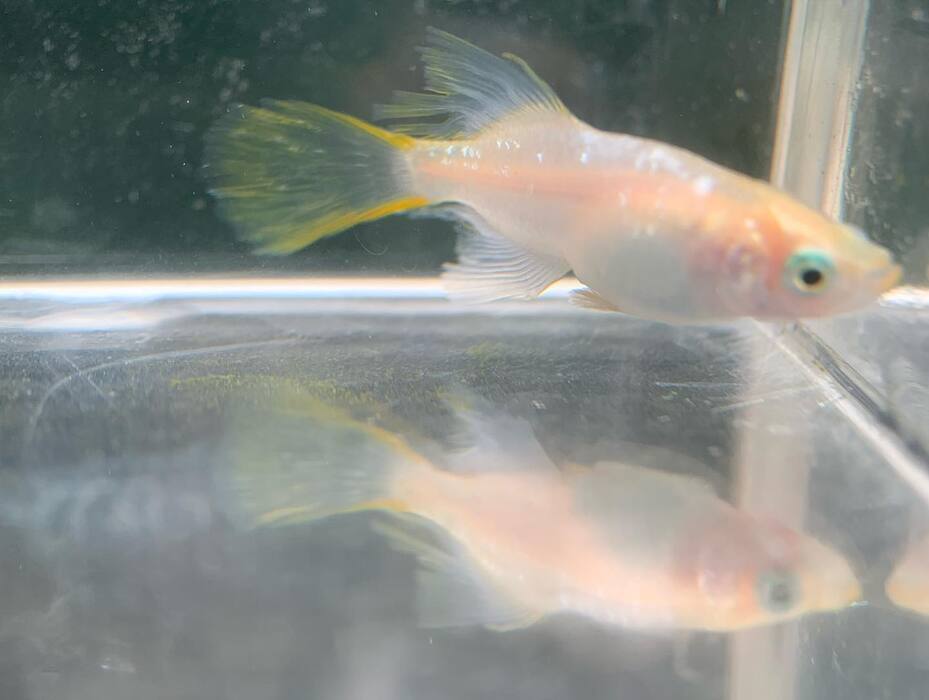 画像400