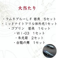画像502